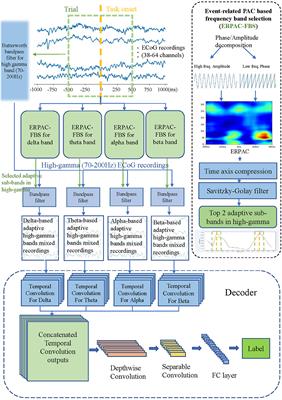 Phase-amplitude coupling-based adaptive filters for neural signal decoding